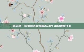 南向通，探索城市发展的新动力-南向通指什么