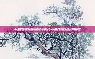 中国网贷财经的崛起与挑战-中国网贷财经公司排名