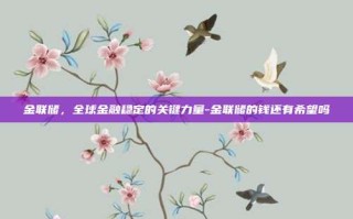 金联储，全球金融稳定的关键力量-金联储的钱还有希望吗