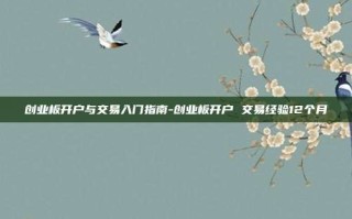 创业板开户与交易入门指南-创业板开户 交易经验12个月