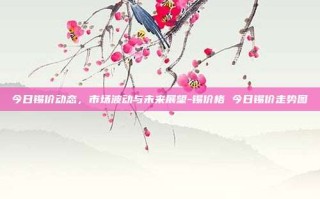 今日锡价动态，市场波动与未来展望-锡价格 今日锡价走势图