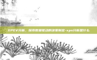 XPEV分析，探索数据驱动的决策制定-xps分析是什么