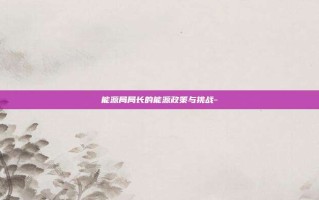 能源局局长的能源政策与挑战-