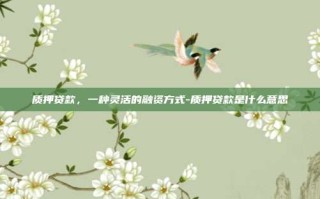 质押贷款，一种灵活的融资方式-质押贷款是什么意思