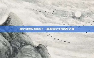 周六美股开盘吗？-美股周六日是否交易