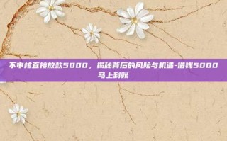 不审核直接放款5000，揭秘背后的风险与机遇-借钱5000马上到账