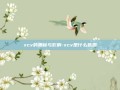 xcv的奥秘与影响-xcv是什么意思