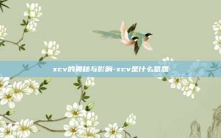 xcv的奥秘与影响-xcv是什么意思