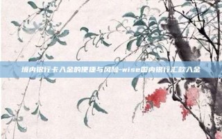 境内银行卡入金的便捷与风险-wise国内银行汇款入金