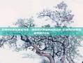 比特币历史价格走势图，探索数字黄金的起伏之旅-比特币历史价格走势图2016