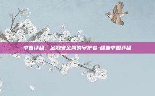 中国评级，金融安全网的守护者-穆迪中国评级