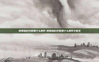 股票加杠杆需要什么条件-股票加杠杆需要什么条件才能买