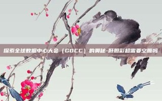 探索全球数据中心大会（GDCC）的奥秘-肝胆彩超需要空腹吗