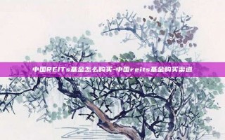 中国REITs基金怎么购买-中国reits基金购买渠道