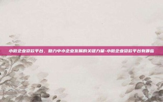 小微企业贷款平台，助力中小企业发展的关键力量-小微企业贷款平台有哪些