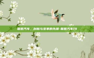 联想汽车，创新与变革的先锋-联想汽车l9