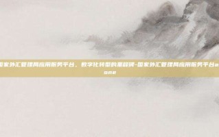 国家外汇管理局应用服务平台，数字化转型的里程碑-国家外汇管理局应用服务平台asone