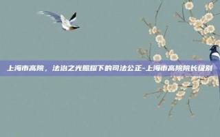 上海市高院，法治之光照耀下的司法公正-上海市高院院长级别