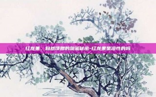 红龙果，自然馈赠的甜蜜秘密-红龙果是凉性的吗