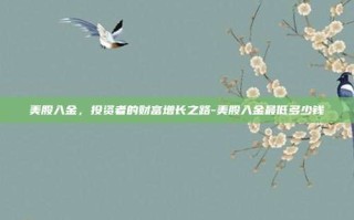 美股入金，投资者的财富增长之路-美股入金最低多少钱