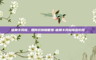 信用卡风险，如何识别和管理-信用卡风险排查阶段