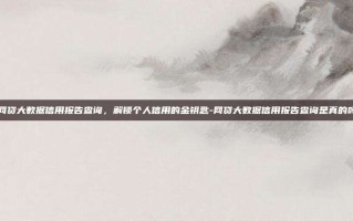 网贷大数据信用报告查询，解锁个人信用的金钥匙-网贷大数据信用报告查询是真的吗