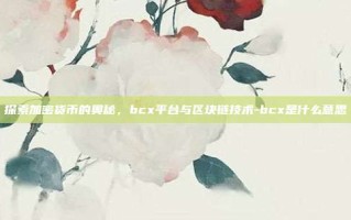 探索加密货币的奥秘，bcx平台与区块链技术-bcx是什么意思