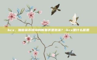 bcx，加密货币领域的新星还是泡沫？-bcx是什么意思