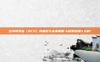 比特币现金（BCH）的崛起与未来展望-b超是检查什么的?