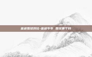 富途雪球对比-富途牛牛 雪球哪个好