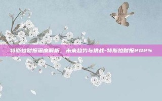 特斯拉财报深度解析，未来趋势与挑战-特斯拉财报2025