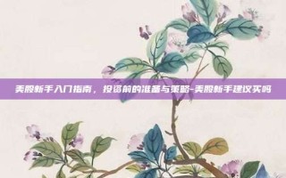 美股新手入门指南，投资前的准备与策略-美股新手建议买吗