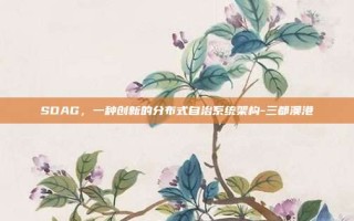 SDAG，一种创新的分布式自治系统架构-三都澳港