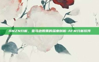 AMZN分析，亚马逊股票的深度剖析-AFM分析软件
