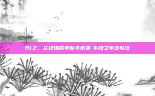 BLZ，区块链的革新与未来-不良之年少轻狂