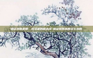 银证转账美股，投资者的新选择-银证转账美股多久到账