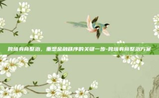 跨境券商整治，重塑金融秩序的关键一步-跨境券商整治方案