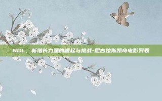 NGL，新增长力量的崛起与挑战-尼古拉斯凯奇电影列表