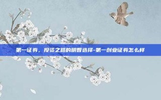 第一证券，投资之路的明智选择-第一创业证券怎么样