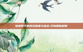 新规则下的投资机遇与挑战-打新股新规则