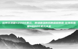 比特币涨破48000美元，市场震荡背后的深层原因-比特币涨破48000美元大关