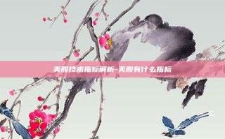 美股技术指标解析-美股有什么指标