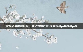 掌握证券投资分析，电子书的力量-证券投资pdf网盘pdf