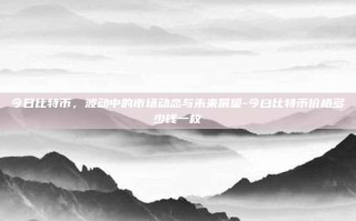 今日比特币，波动中的市场动态与未来展望-今曰比特币价格多少钱一枚