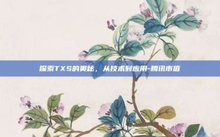 探索TXS的奥秘，从技术到应用-腾讯市值