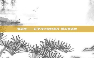 罗志恒——在平凡中绽放非凡-邵东罗志恒
