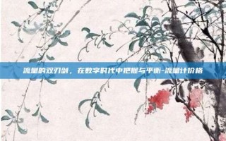 流量的双刃剑，在数字时代中把握与平衡-流量计价格