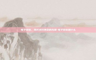 电子钱包，现代支付革命的先锋-电子钱包是什么