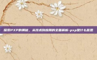探索PXP的奥秘，从技术到应用的全面解析-pxp是什么意思