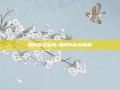 如何购买新股-如何购买新股票